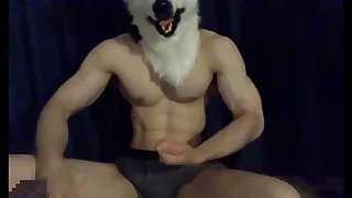 1172 gay masturbation porn videos